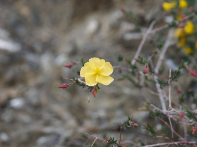 P4040791_DxO_1000px.jpg