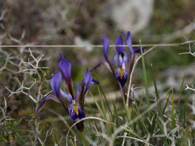 P4040813_DxO_1000px.jpg