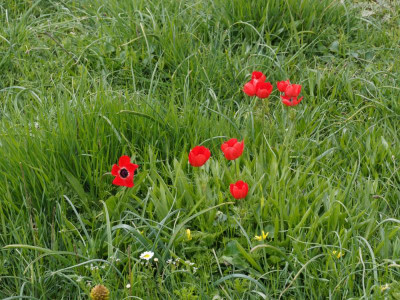 P4040837_DxO_1000px.jpg