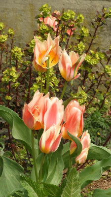 DSCN4186.JPG