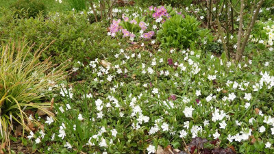DSCN4192.JPG