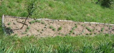 Flechtbeet_20070524.jpg