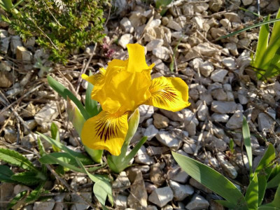 IMG_20190416_174913.jpg