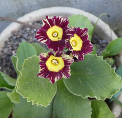 20190416_213648.jpg