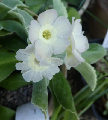 20190416_213728.jpg