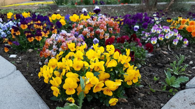 PhotoEditor_20190417_203101470.jpg