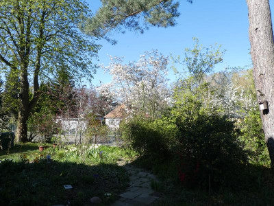 P1040959.JPG