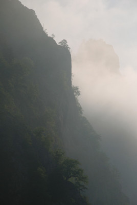 steirisch_china.jpg