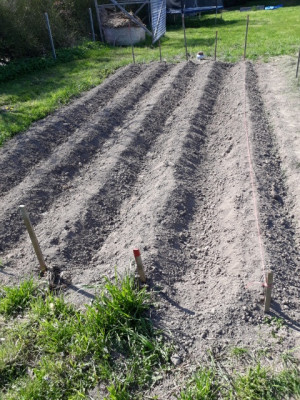 rps20190418_172132.jpg