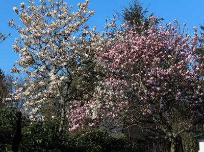 IMG_4947ß.jpg