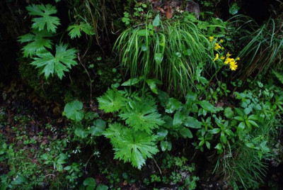 klamm_mitte_detail2.jpg