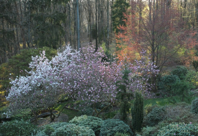 IMG_4968ß.jpg