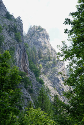 steirisch_china_entnebelt.jpg