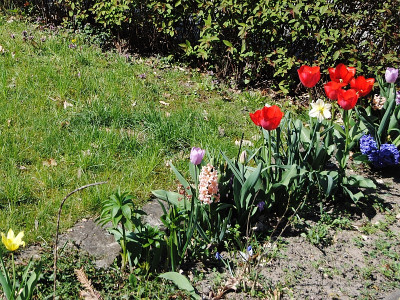 Gekreische2019_04_19_01.jpg