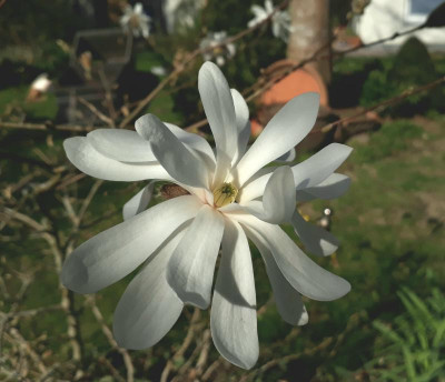 20190419_175234.jpg