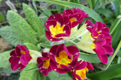 20190419_212456.jpg