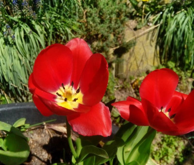 IMG_20190419_122549_DRO.jpg