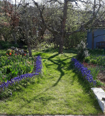 20190419_172408.jpg