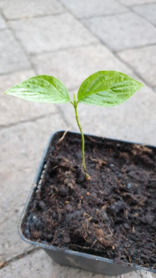 20190420_195358.jpg