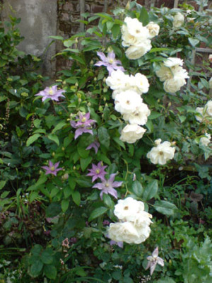 schneewittchen_und_justa-umarmung1.JPG