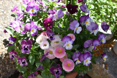 ostern 2019 005.JPG