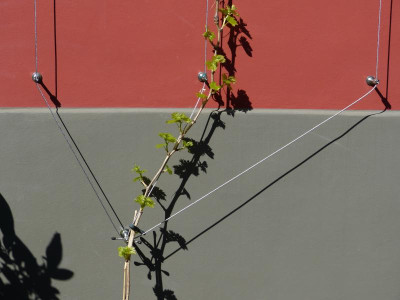 P1050630.JPG