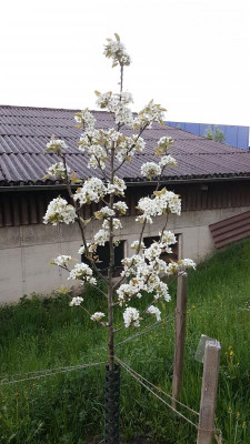 20190421_201453.jpg