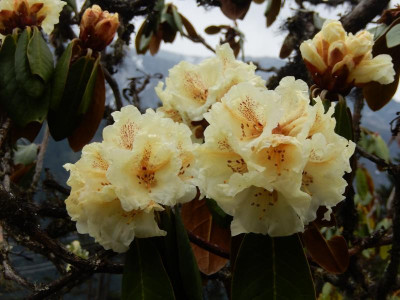 DSCN8440-1.JPG