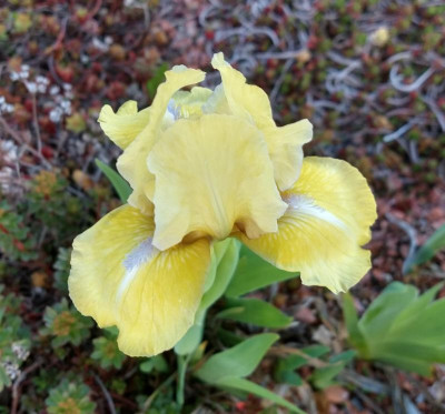 IMG_20190422_075224175_HDR~2.jpg