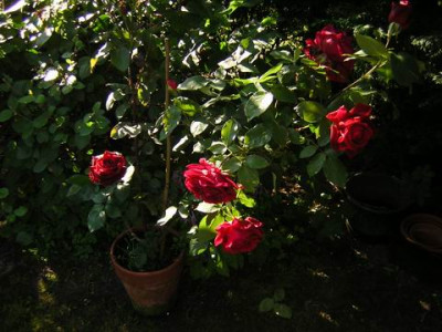1DSCN3568.JPG