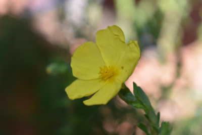 ostern 2019 002.JPG
