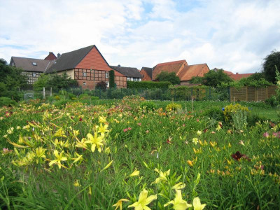 06 Blick vom Sämlingsgarten_6018.jpg
