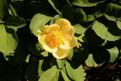 DSCF9069_3896.JPG