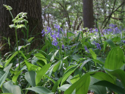 DSCF6262.JPG