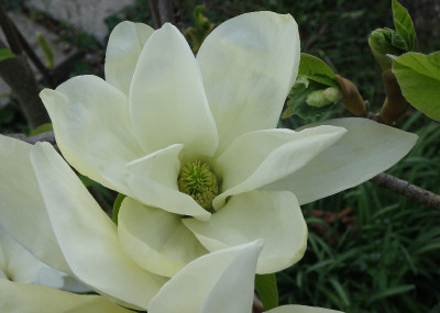 DSC06555.jpg