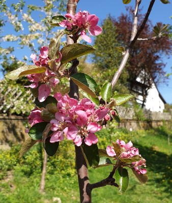 20190422_113401.jpg