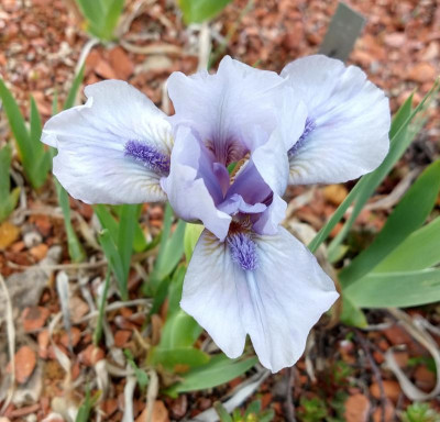 IMG_20190423_080321394_HDR~2.jpg