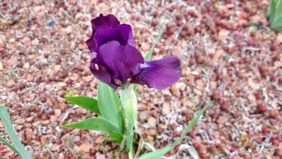 IMG_20190423_080451548_HDR.jpg