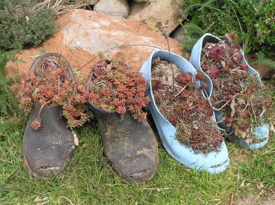alte Schuhe April 2019 002.JPG