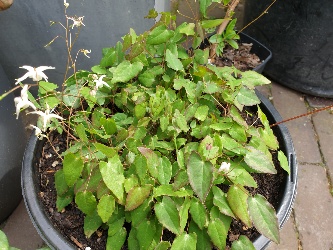 20190423_152207.jpg