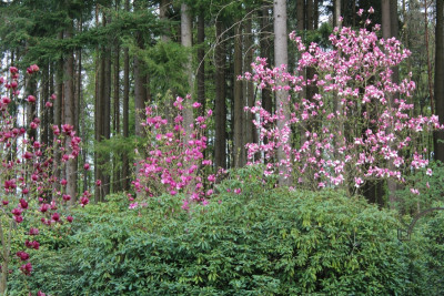 IMG_5023ß.jpg