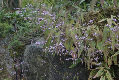 _IGP6467.JPG