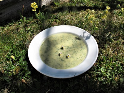 fruehlingskraeutersuppe1.img.JPG