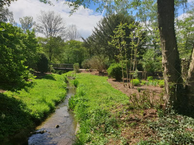 20190425_132341.jpg