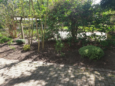 20190425_132223.jpg