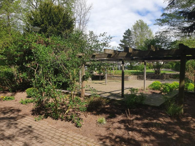 20190425_132153.jpg