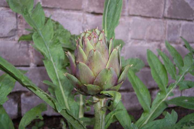 K640_100_3578.JPG