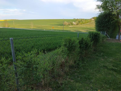 IMG_20190425_193503.jpg