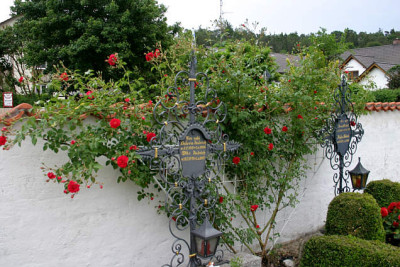 Rose_Heinfels0207.jpg