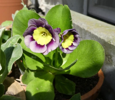 20190425_235744.jpg